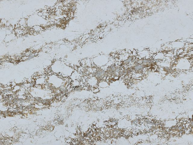 Calacatta Arc CN8010 engineered quartz slab